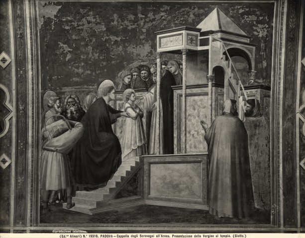 Alinari, Fratelli — Padova - Cappella degli Scrovegni all'Arena. Presentazione della Vergine al tempio. (Giotto) — insieme